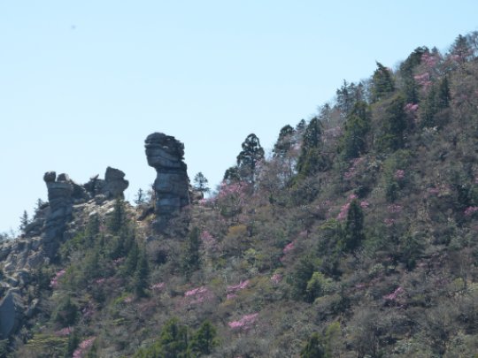 青岳